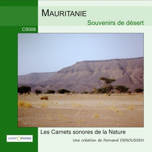 CS008_MAURITANIE - Souvenirs de désert