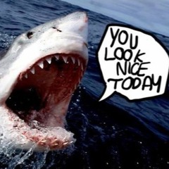 X - NooB - Trapped in Jaws