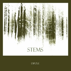 Shaahin Saba Dipole - Stems