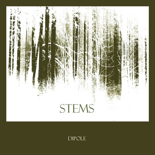 Shaahin Saba Dipole - Stems