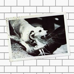 A Tusk In The Wall (Pink Floyd/Fleetwood Mac Mashup)