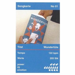 Wundertüte (S. Peghini / J. Rase)