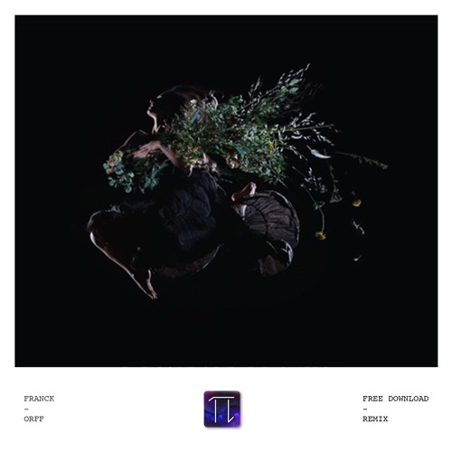 Ayla Nereo - Tightrop Walker ( Franck Orff Remix ) Free Download !