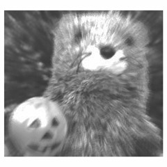 "I Don't Eat My Own" A Wowtown Halloween