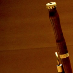 ANSELM VIOLA · Concert per a baixó [1 Andante-Allegro]