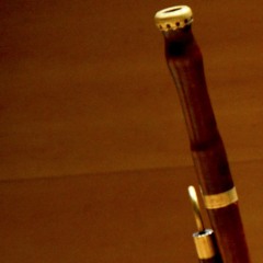 ANSELM VIOLA · Concert per a baixó [2 Andante-Largo]