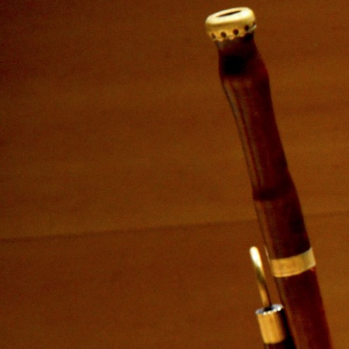 ANSELM VIOLA · Concert per a baixó [2 Andante-Largo]