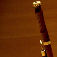 ANSELM VIOLA · Concert per a baixó [3 Allegro]