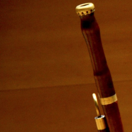 ANSELM VIOLA · Concert per a baixó [3 Allegro]