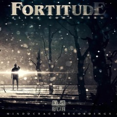 Fortitude - Implications(preview)
