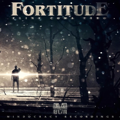 Fortitude - Implications(preview)
