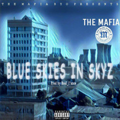 BlueSkiesInSkyz