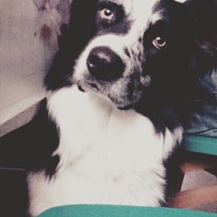 1312 Preview - AblOk2sOn (kOrgOnLy)