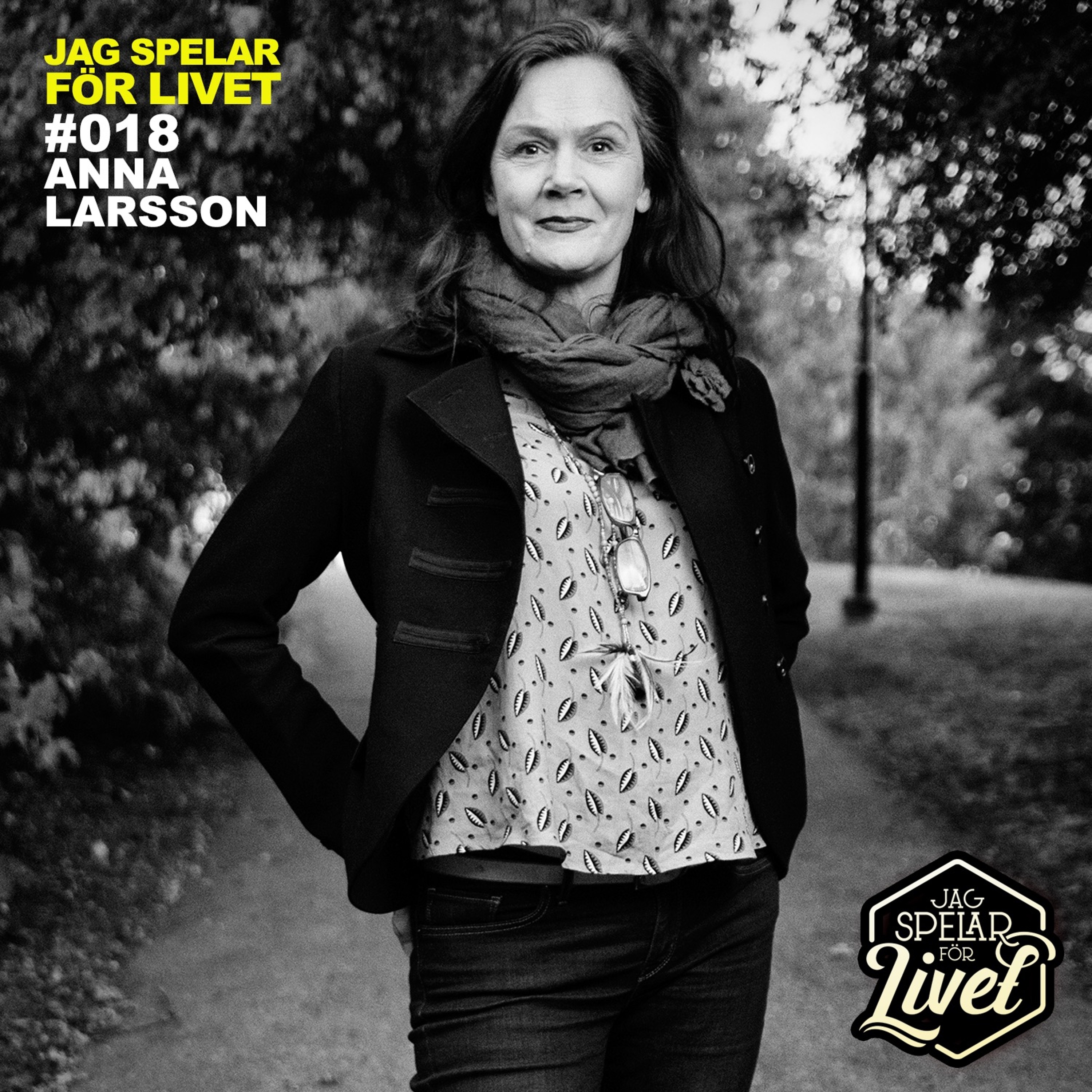 Jag Spelar för Livet - Musiker om Musik