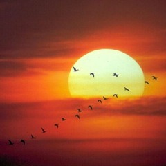 Brendo Tuxá - DJSET Contest - Sollares & Ápice