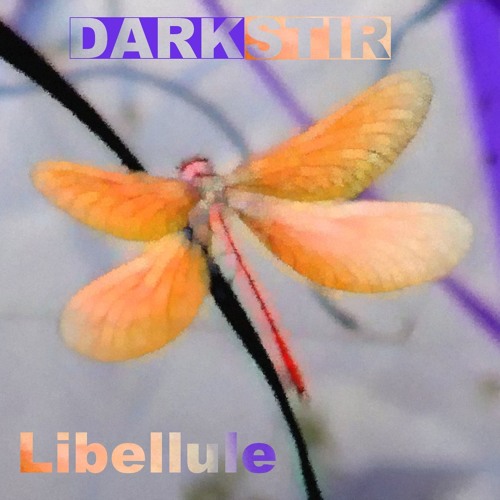 Dark Stir - Libellule