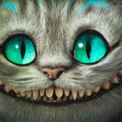 APC Live Happyloween2016 Preview