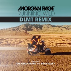 Morgan Page - Running Wild (DLMT remix)