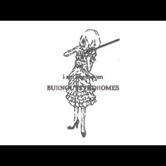 BURNOUT SYNDROMES ~i am Beethoven~