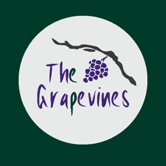 Lonesome Larry (Feat. Sam Greenberg)