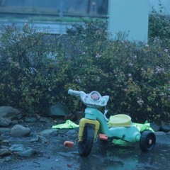 Sounds of Silicon Valley