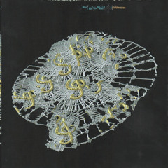 Wavelet Demolition - Robert Miles, Children