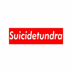 suicidetundra - s_jewels (prod. Riclaflare)