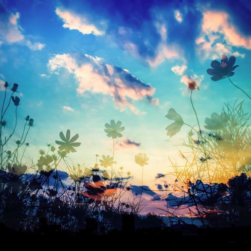 Stream 里咲りさ シャイガール戦争 Kujira Mix Remix By Cheebow Listen Online For Free On Soundcloud
