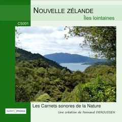 CS001_NOUVELLE ZELANDE_îles lointaines