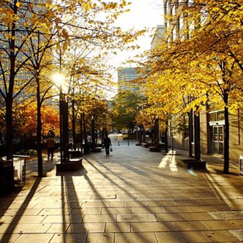 "Một vài dòng suy nghĩ thoáng qua"