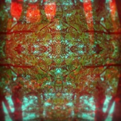 ExoThwarp