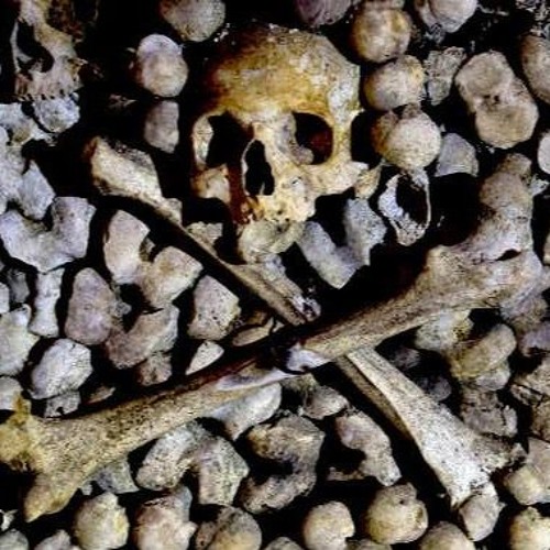PIRATA - PDFM (A Pirates Death For Me EXTENDED VERSION)