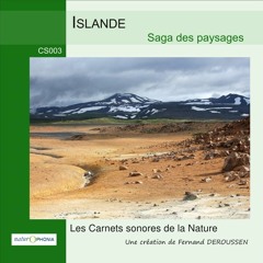 CS003_ISLANDE_Saga des paysages