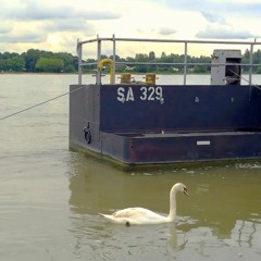 Piensa En Mi (Versión de Luz Casal / Agustín Lara)