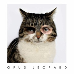 Opus Leopard - Sternzeichen Leopard (SNEAKERS REMIX)
