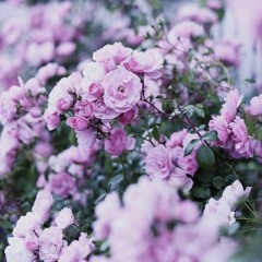 Nên em lùi bước về sau để thấy anh rõ hơn