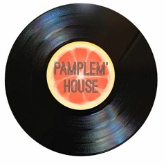 Pamplem'House - You Can't Forget Your Past (Rack.u Records)