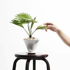 Leave - Astronormous x Emcee K x Han Han