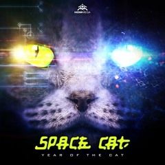 Space Cat - Loops Of Insanity