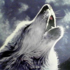 Плачет душа одинокого волка.mpg