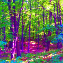 Psychedelic Nature Alchemist