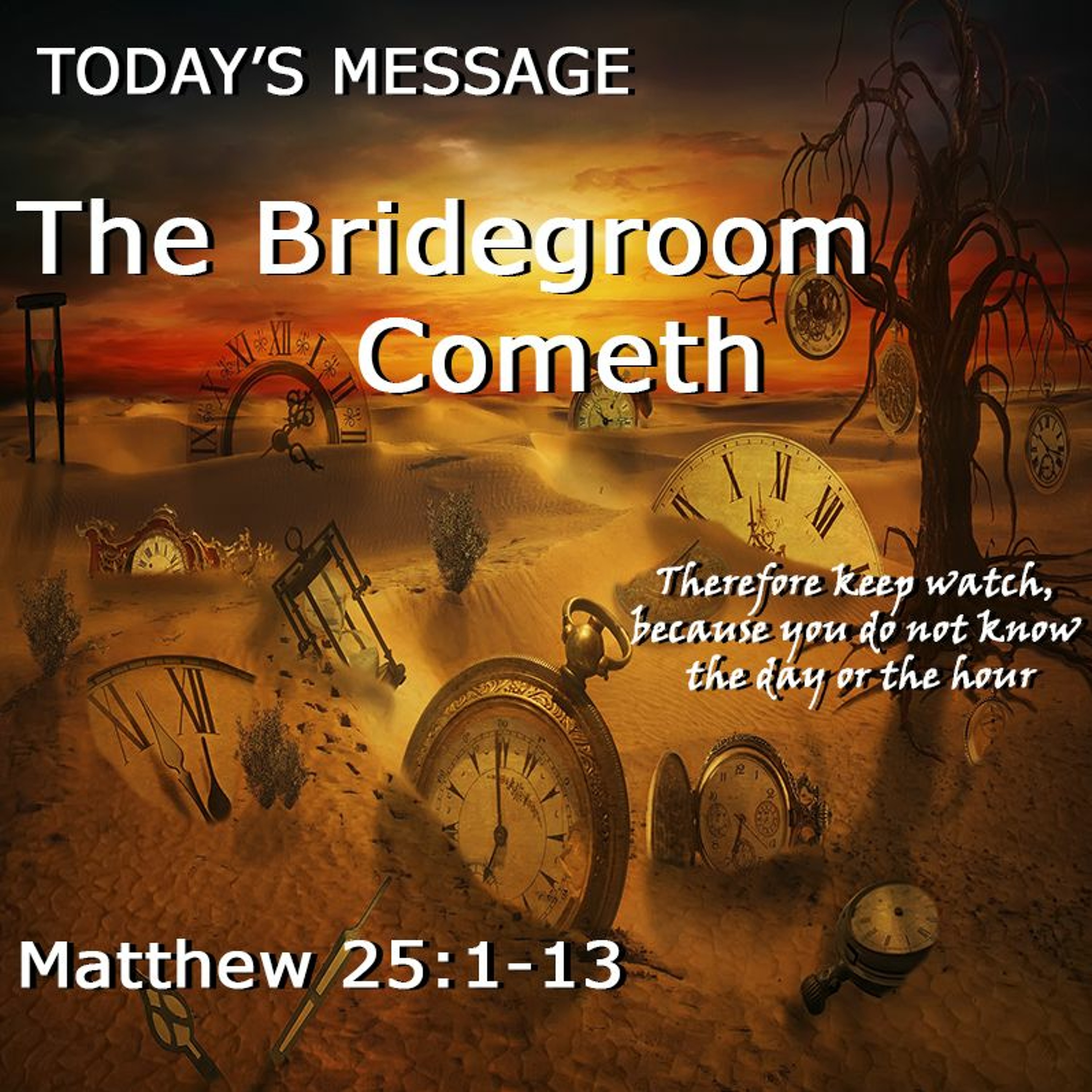 The Bridegroom Cometh episode artwork