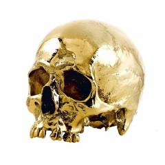 Gold Skull _ Mekong Xanga (HGK)