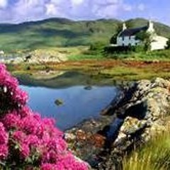 La Ballade Nord-Irlandaise (French cover song)