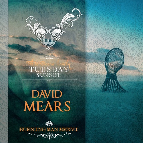 David Mears (Live) - White Ocean Sunset - Burning Man 2016