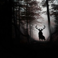 • Aleph Rä • // ☯ // The Dark Night Of The Soul