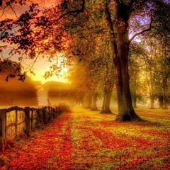 Walking through autumn