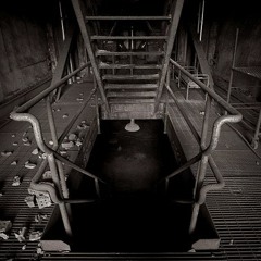 Delysid - The Basement