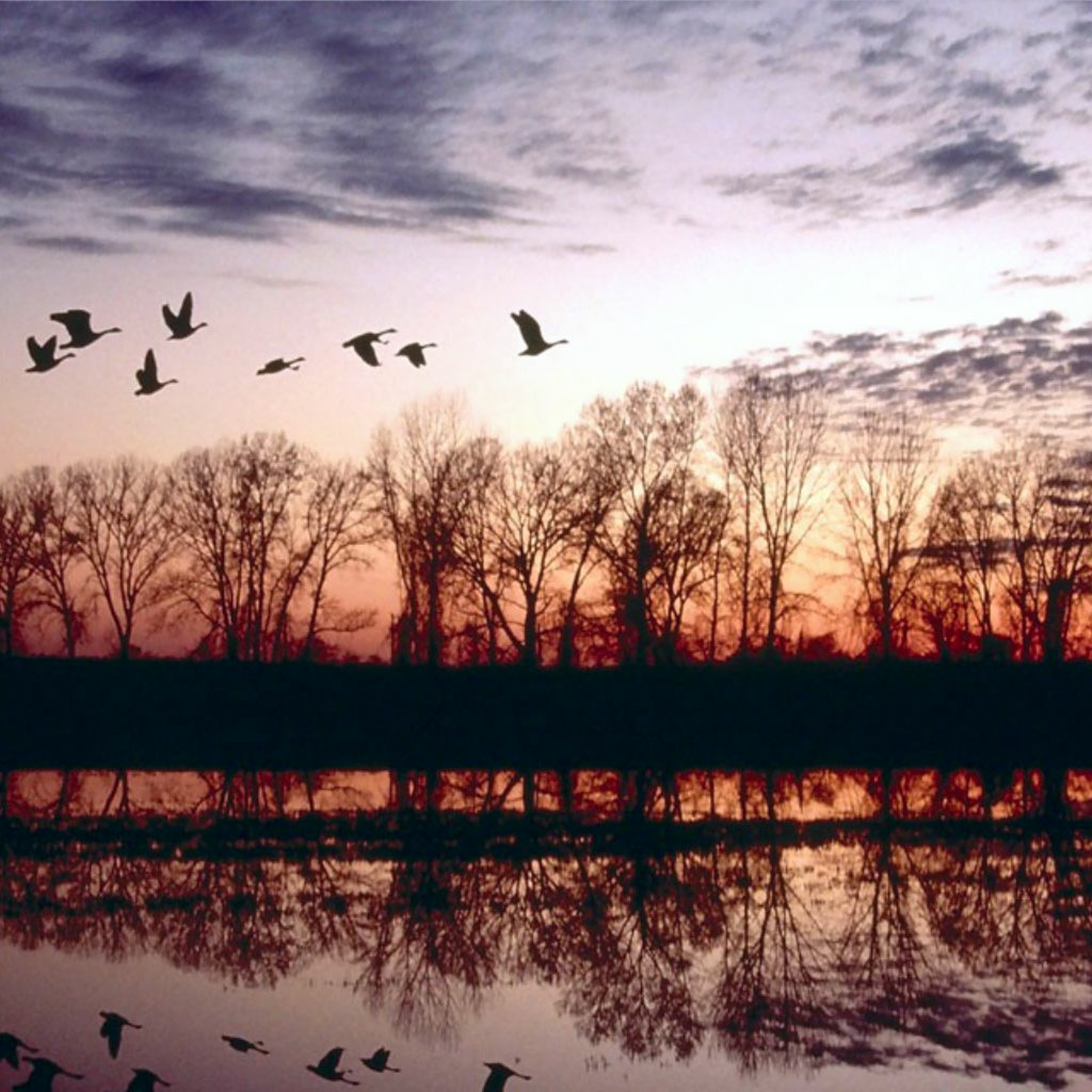 (2005) Invierno episode artwork