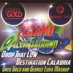Tujamo, Alex Gaudino -  Drop That Low Destination Calabria (Greg Gold And George Luka Mashup)
